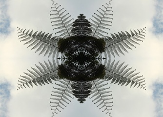 IMG_3475Mod1